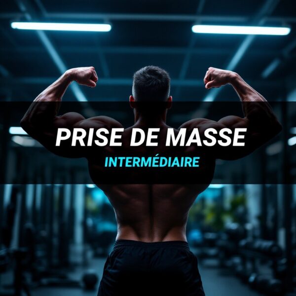 Intermediate - Bulking