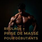 Beginners - Cutting + Bulking